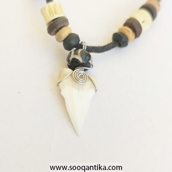 Shark Tooth Necklace - Image 2